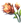 Mountain Flower Small.png