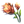 Mountain Flower Small.png